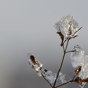 unter Eis