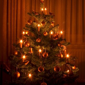 Weihnachtsbaum