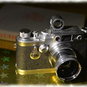 Leica IIIg