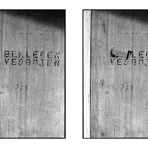 Leben
