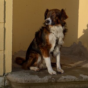 DSC 6058a