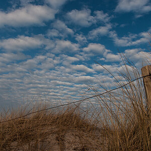20140204 03 Markgtrafenheide02