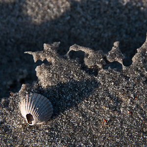 20140204 14 Markgtrafenheide09