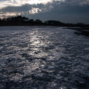 20140204 19 Markgtrafenheide11