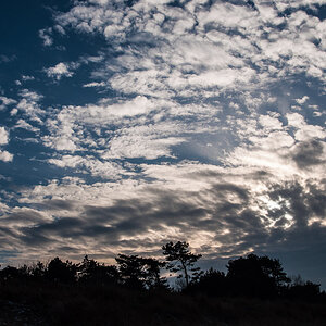 20140204 23 Markgtrafenheide13