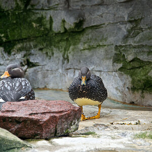 Zoo am Meer in Bremerhaven