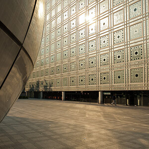 Distagon 2 25 5981