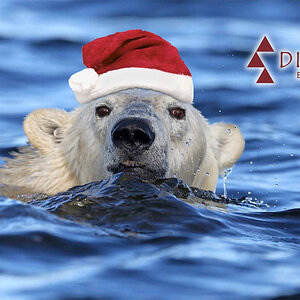 Weihnachtskarte 2013