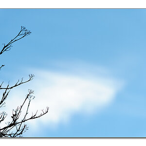 Wolken4