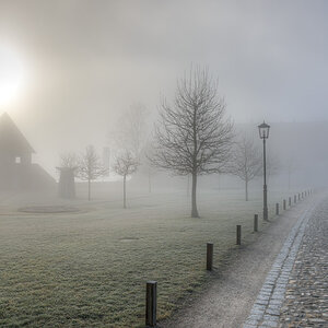 im Nebel