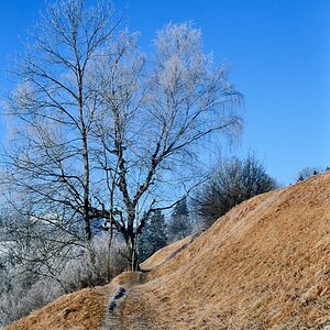 "Reif ohne Schnee"
Aufgenommen in Hindelang bei Sonthofen mit meiner F3 HP. Digitalisiert mit meiner D4 mittels Dia-Replikator.