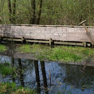 2013 05 04 Steinhuder Meer (38)