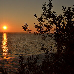 2013 10 02 Steinhuder Meer (1256)