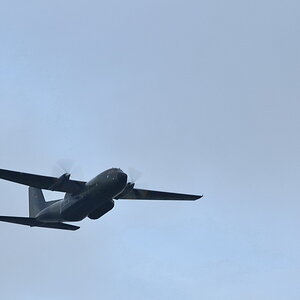 2014 01 08 Steinhuder Meer (54)