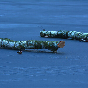 N71 6319a Kopie exif