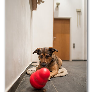 das ding2