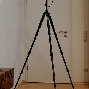 triopo3
