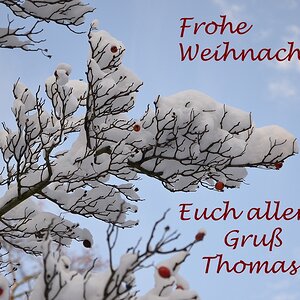 Weihnachtsgruß 2