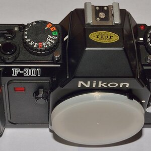 DSC 8152