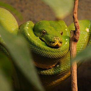 20140122 141323 Kopie