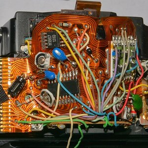 DSC 8153