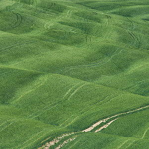 Feldweg, San Quirico d'Orcia, Toscana, 13.05.2013