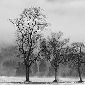 20140117 114747