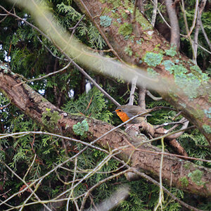 DSC 0079 khg