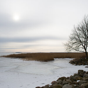 neeberg