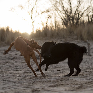 playing1