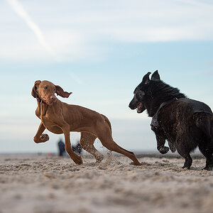 playing2