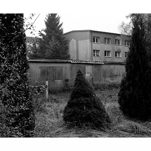 neuenkirchen3