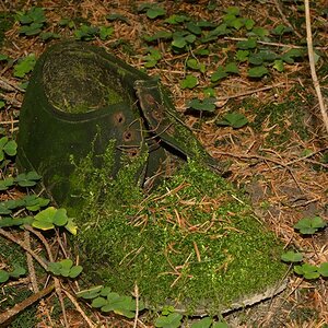 DSC8167