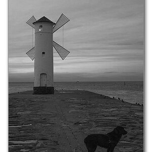 hund und turm