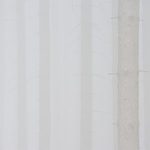 Nebelwald 2