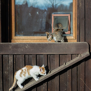 20140111 DSC00375