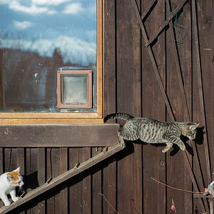 20140111 DSC00374
