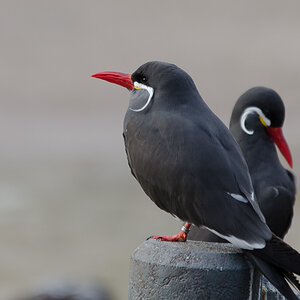 20140119 DSC 4923