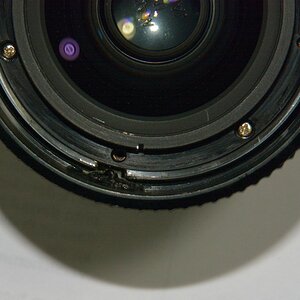 DSC 8250