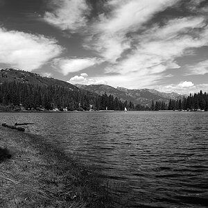 DSC 5669 Hume Lake sw 1000
