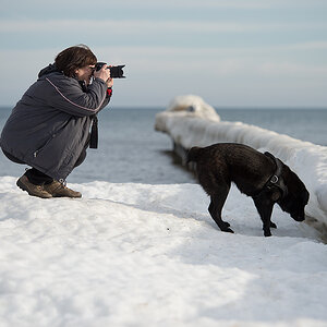 frau mit hund