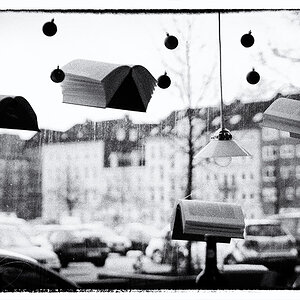 6/365 Zweitauswahl