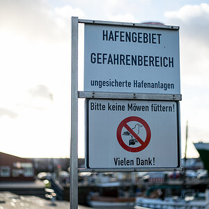 20140112 keine Möwen füttern 0001