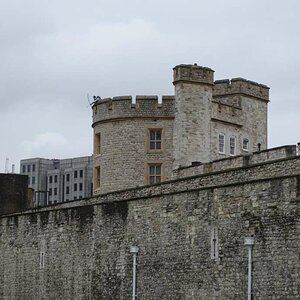 DSC01493 01