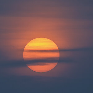 Sonnenuntergang Rott