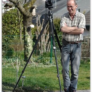 MNE 9539,
D800 AF 28/2,8 D auf Cullmann Magnesit 532Q
Foto D700 AF 50/1,4 D