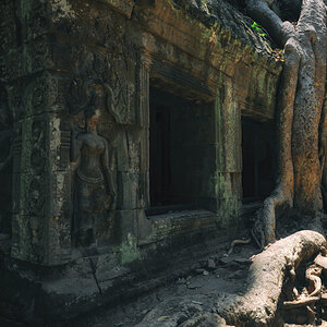 NFF angkor 29