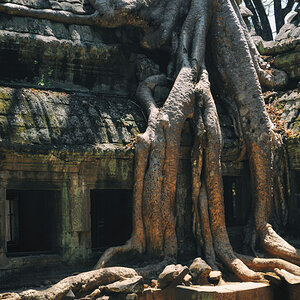 NFF angkor 30