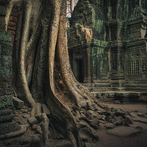 NFF angkor 31