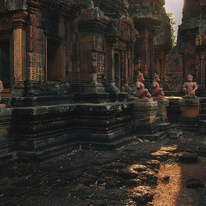 NFF angkor 38